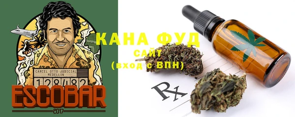 мет Новозыбков