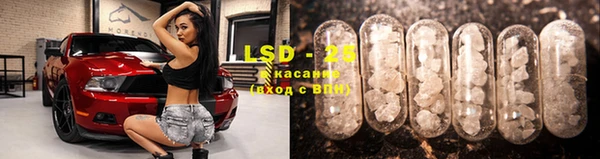 прущие грибы Абаза