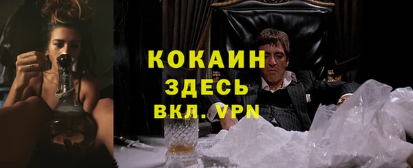 прущие грибы Абаза
