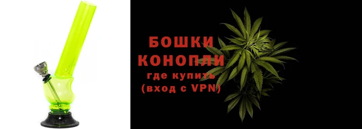крисы Новодвинск