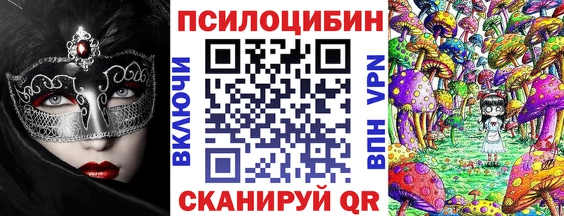 цены наркотик  Суздаль  Галлюциногенные грибы Psilocybine cubensis 