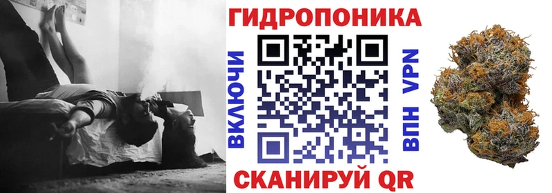 где купить наркотик  Суздаль  Бошки Шишки индика 